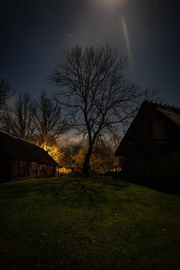 Metsara B&B Tornimae Exteriör bild