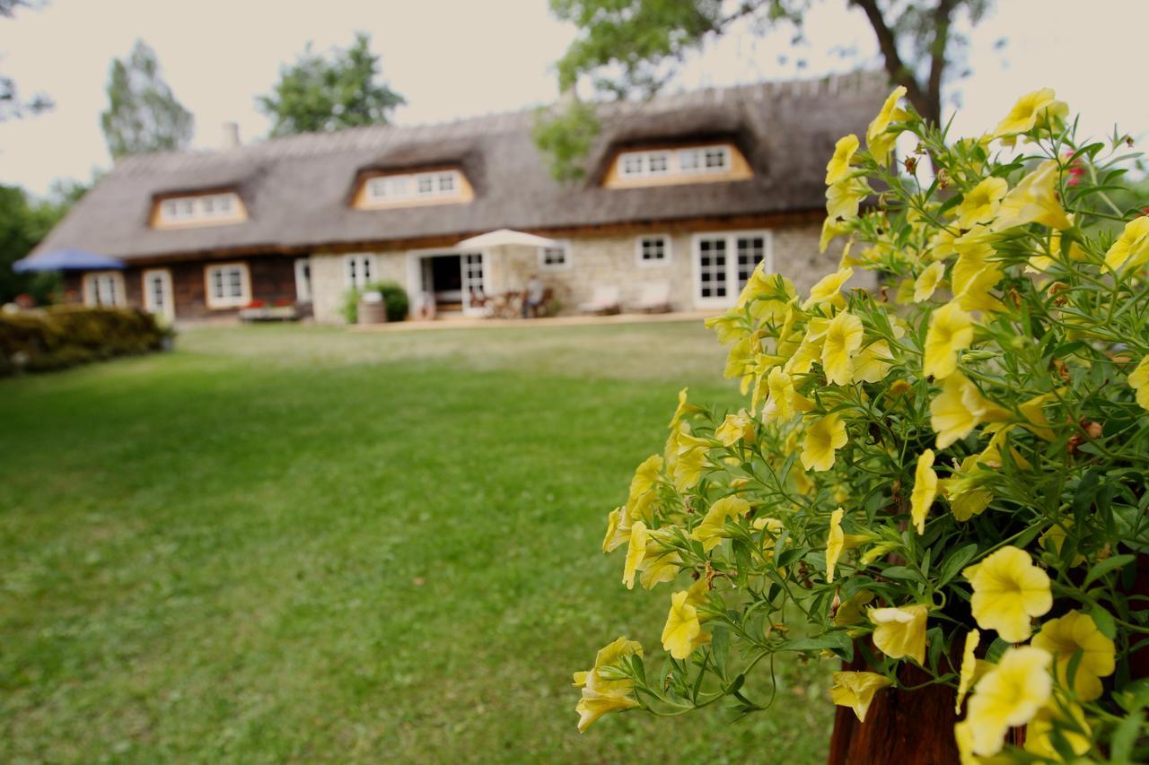 Metsara B&B Tornimae Exteriör bild