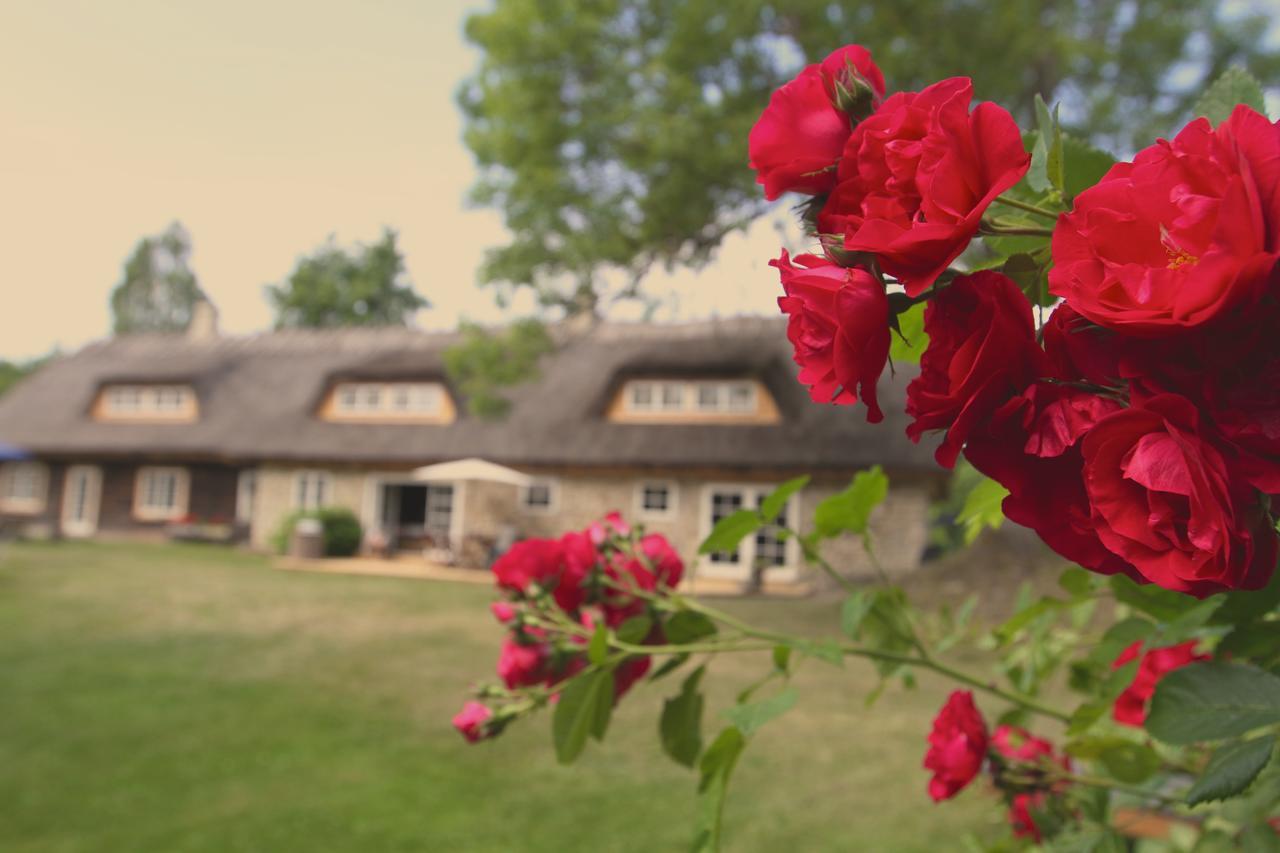 Metsara B&B Tornimae Exteriör bild