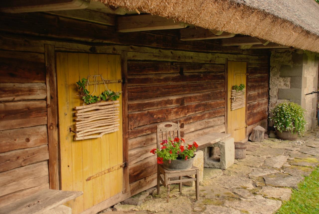 Metsara B&B Tornimae Exteriör bild
